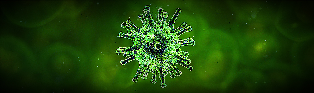 destroy_virus_wide_1006.jpg